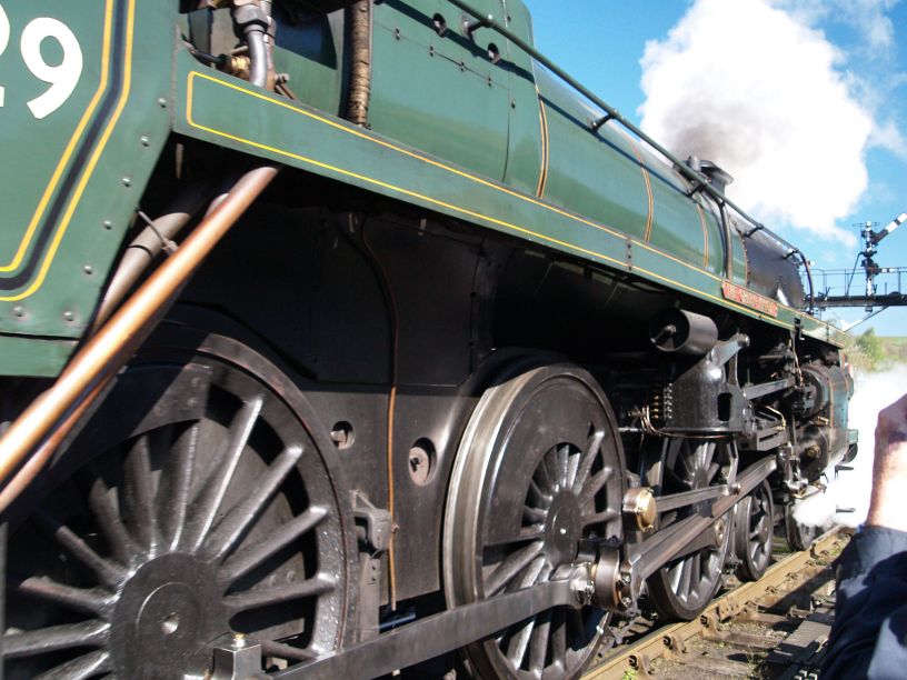 75029