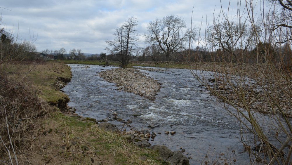 Walking along the banks of the River Cover Jervaulx Abbey circular walk