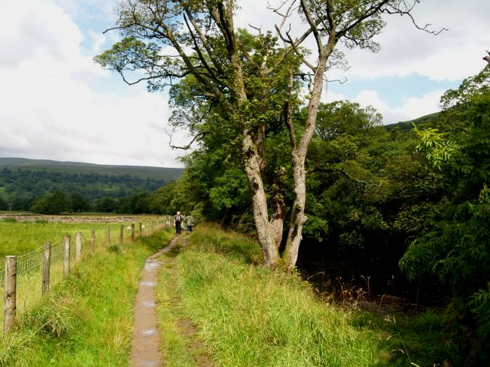 Wharfedale Walking