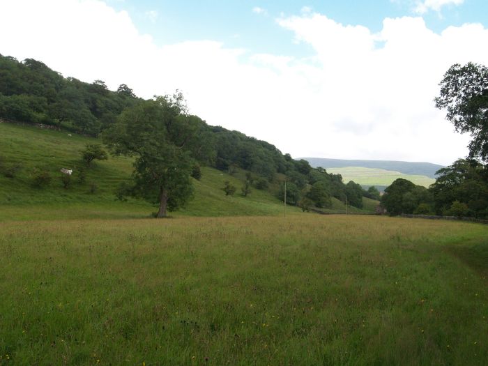 Wharfedale Walking