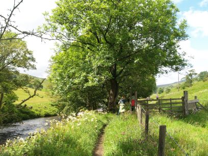 Wharfedale Walking