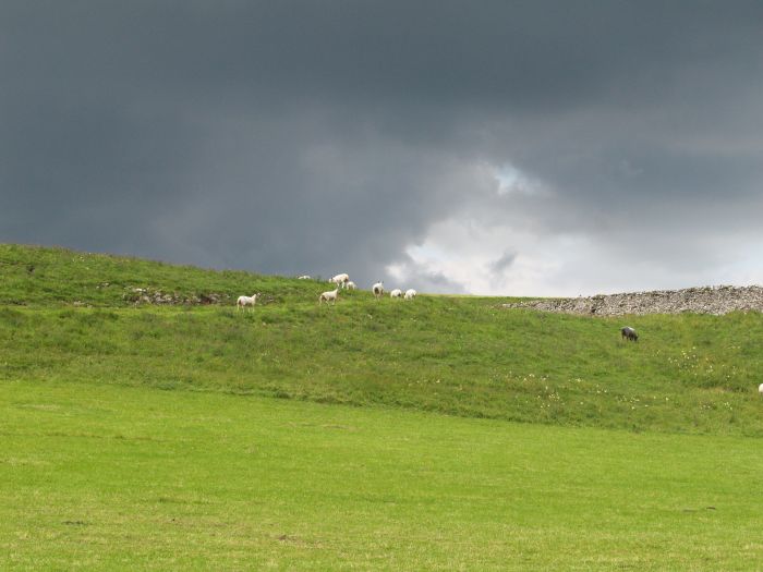 Wharfedale Walking