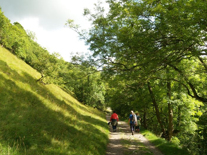 Wharfedale Walking