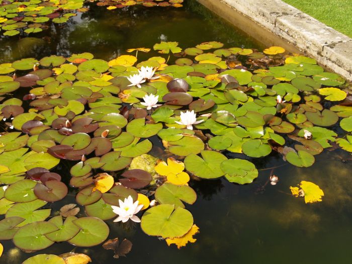 Parcevall Hall Gardens