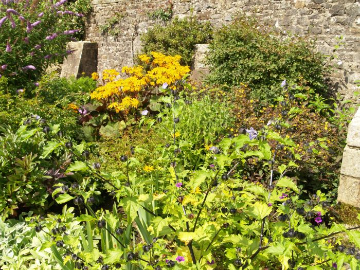 Parcevall Hall Gardens