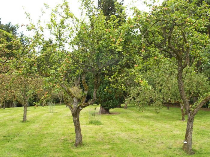 Parcevall Hall Gardens