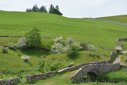 medieval packhorse Smardale bridge note the medieval cultivation terraces (lynchets) Newbiggin-on-Lune Smardale Nature Reserve Walk, Cumbria, England
