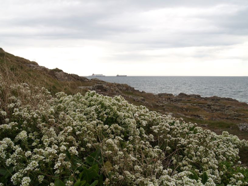 Howth to Sutton Cliff Walk, Co. Dubin, Ireland