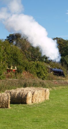 Location 09b: One of the special North Yorkshire Moors Railway steam trains running from Grosmont to Battersby, leaving Castleton Station heading for Danby. ex LNER B1 class 4-6-0 61264