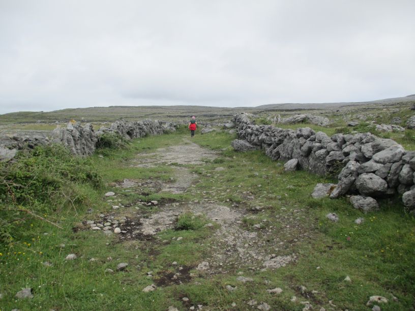 Black Head Loop Walk, Fanore, The Burren