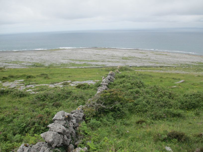 Black Head Loop Walk, Fanore, The Burren