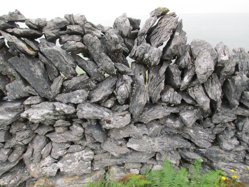 The amazing dry stonewalls of the Burren, designed to let the wind go through to decrease the pressure on the wall, so they stay upright for much longer. Black Head Loop Walk, Fanore, The Burren