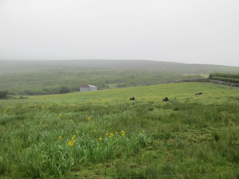 Black Head Loop Walk, Fanore, The Burren