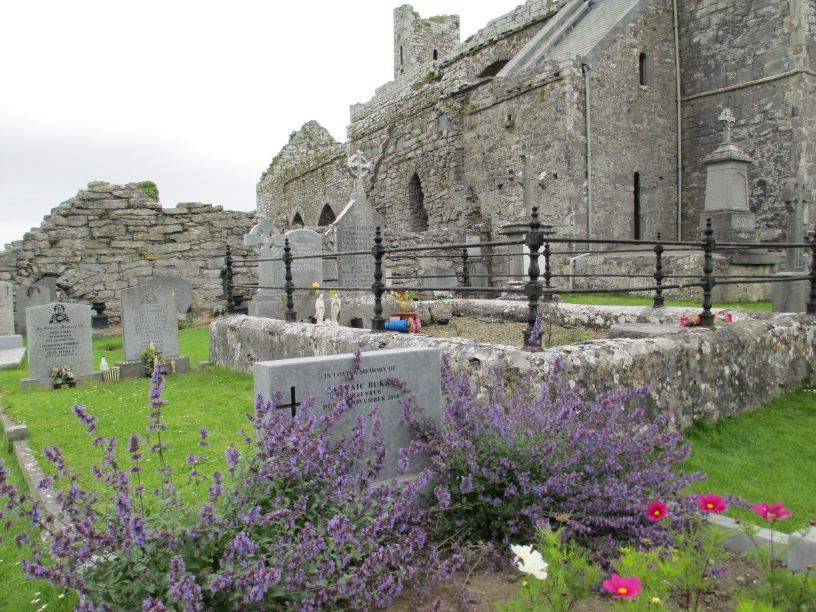 Corcomroe Abbey, The Burren, Co. Clare