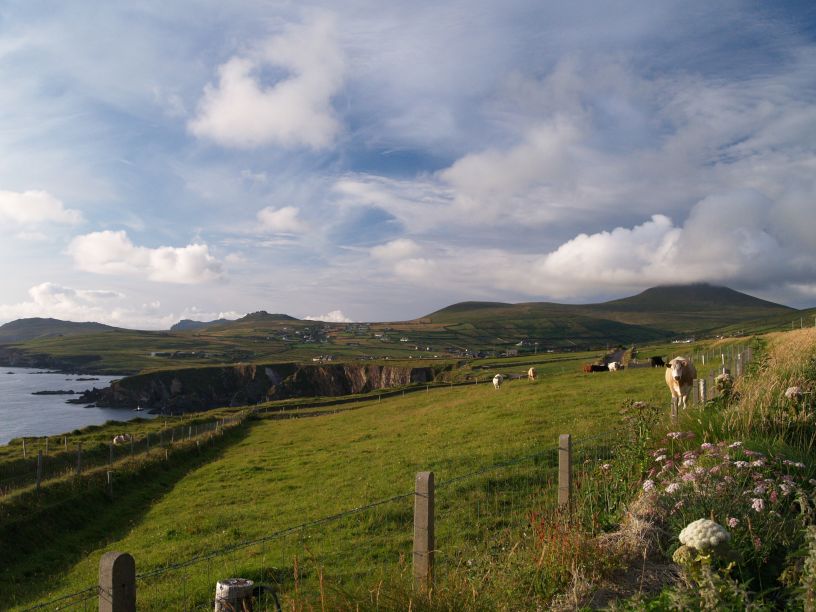 Slea Head Drive - Wild Atlantic Way