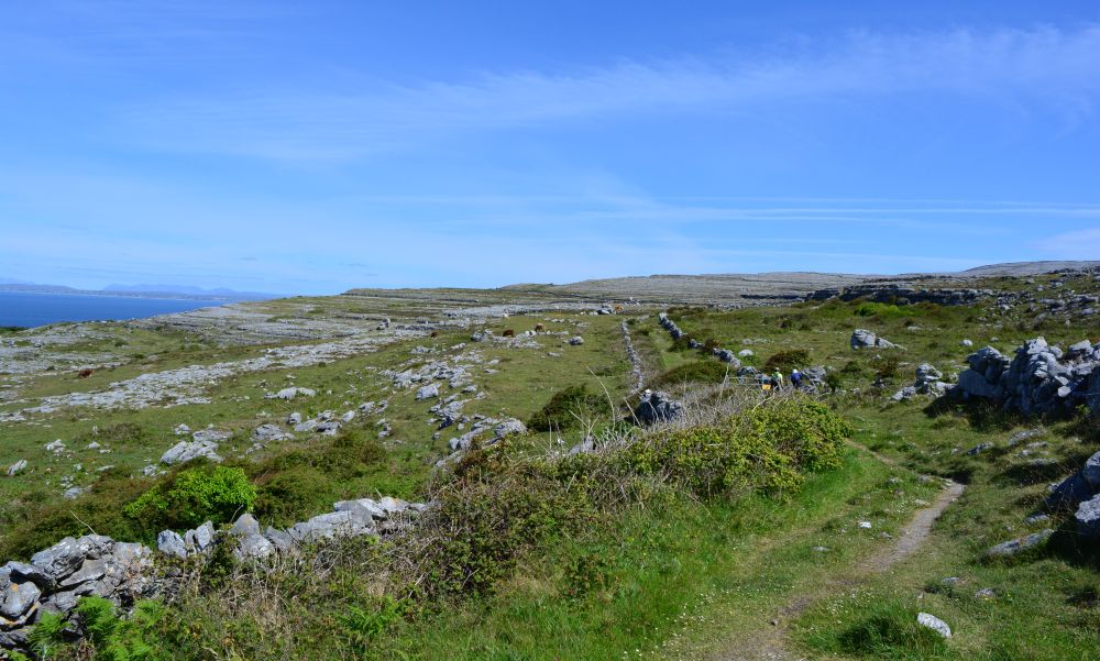 Black Head Loop Walk, Fanore, The Burren