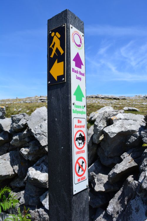 Black Head Loop Walk, Fanore, The Burren