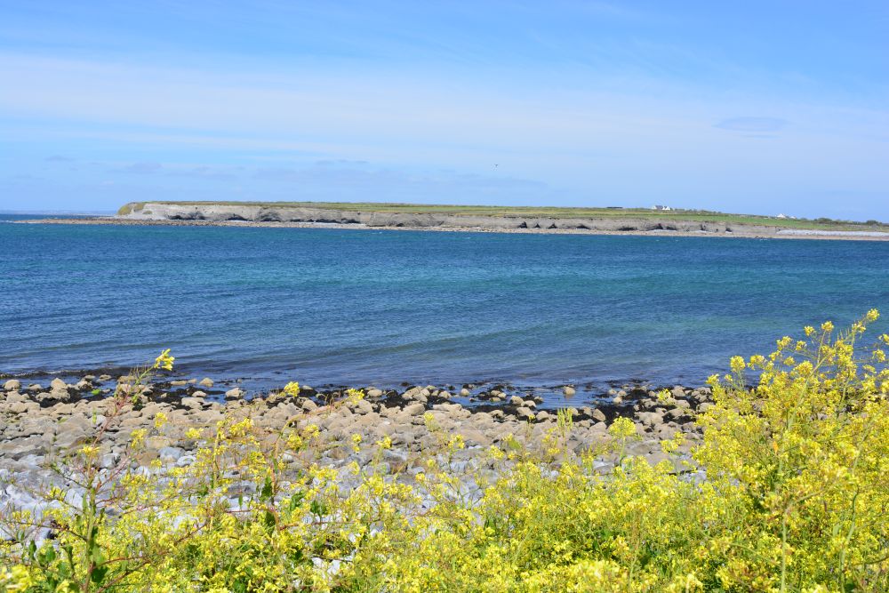 Flaggy Shore, Russell Gallery & Cafe, Co. Clare