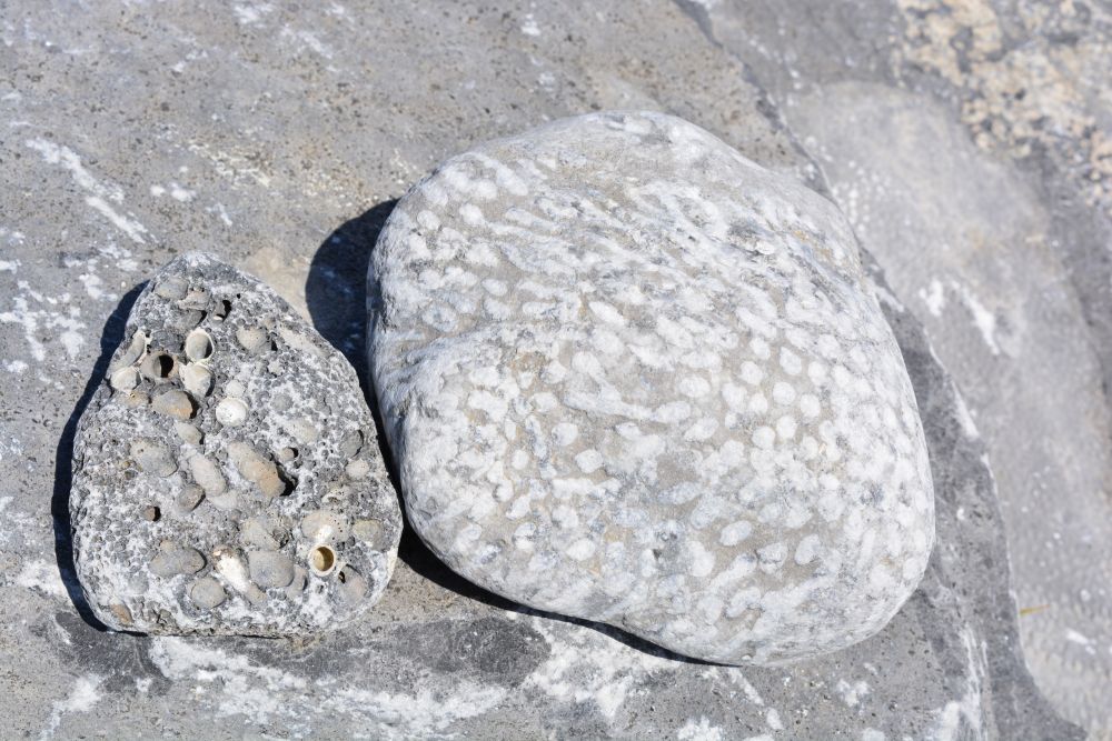 Flaggy Shore, Russell Gallery & Cafe, Co. Clare