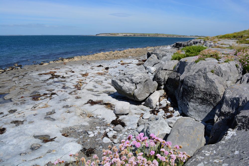 Flaggy Shore, Russell Gallery & Cafe, Co. Clare