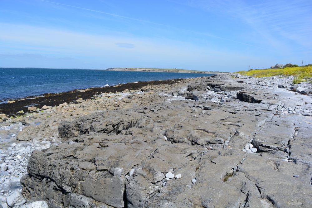 Flaggy Shore, Russell Gallery & Cafe, Co. Clare