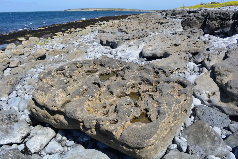 Flaggy Shore, Russell Gallery & Cafe, Co. Clare