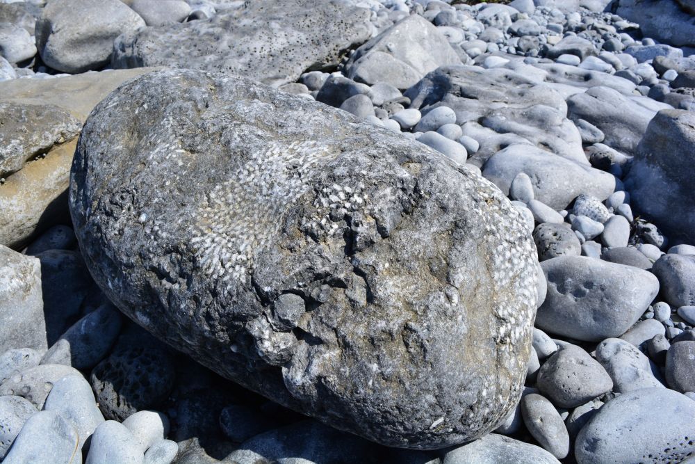 Flaggy Shore, Russell Gallery & Cafe, Co. Clare