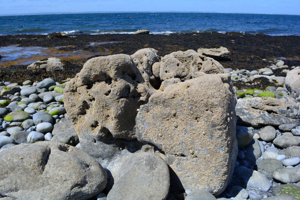 Flaggy Shore, Russell Gallery & Cafe, Co. Clare