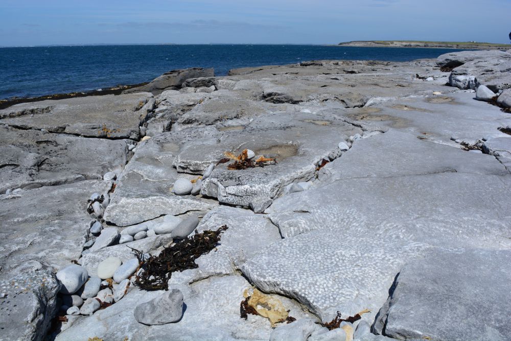 Flaggy Shore, Russell Gallery & Cafe, Co. Clare