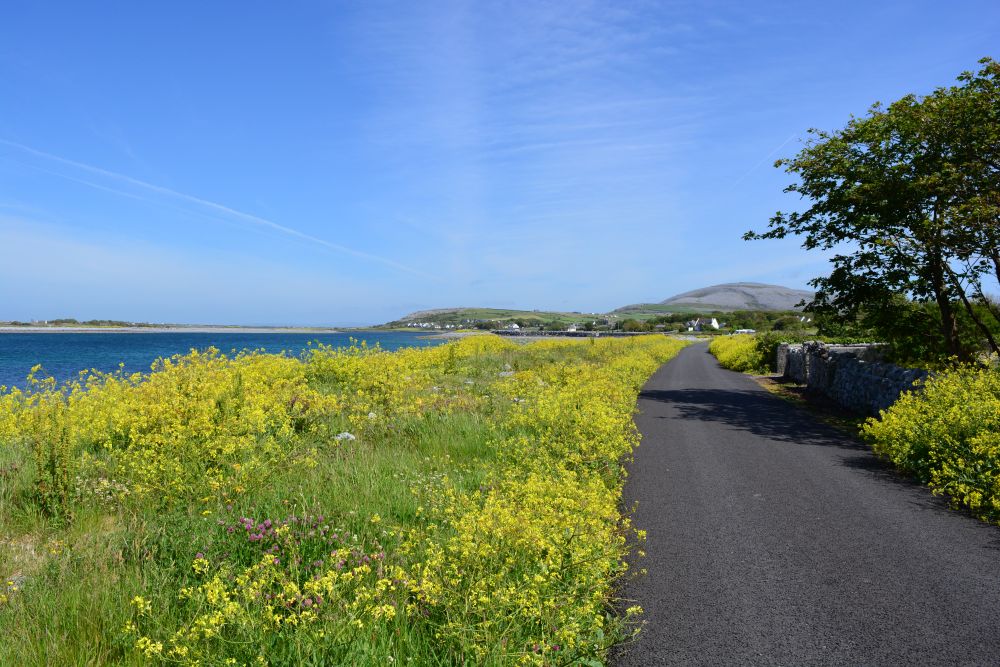Flaggy Shore, Russell Gallery & Cafe, Co. Clare