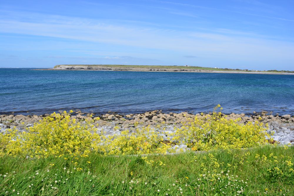 Flaggy Shore, Russell Gallery & Cafe, Co. Clare