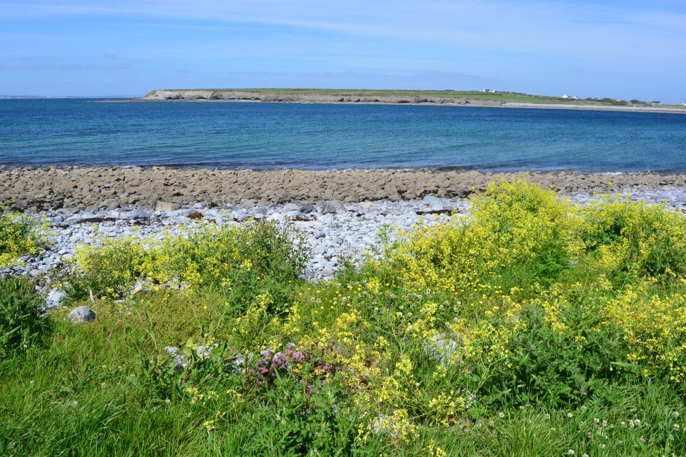 Flaggy Shore, Russell Gallery & Cafe, Co. Clare