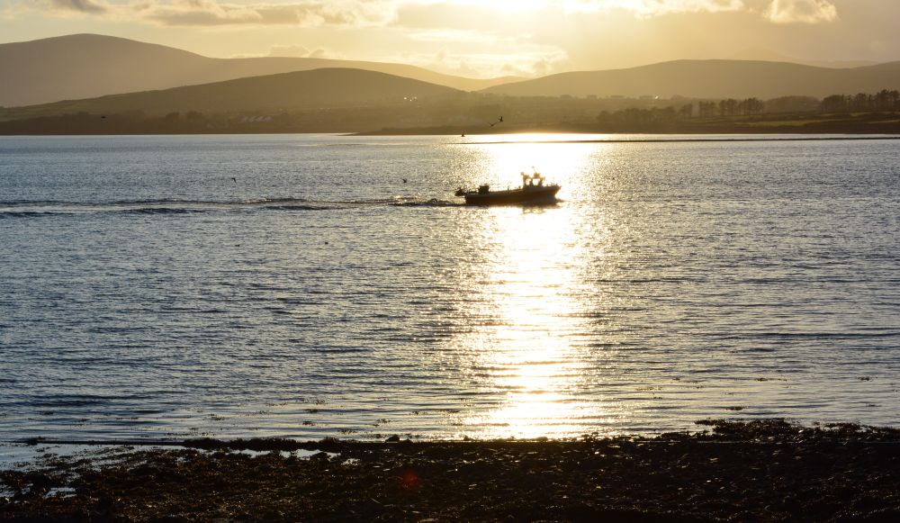 Dingle, Kerry