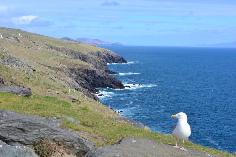 Slea Head Drive - Wild Atlantic Way