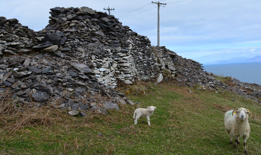 Fahan beehive huts