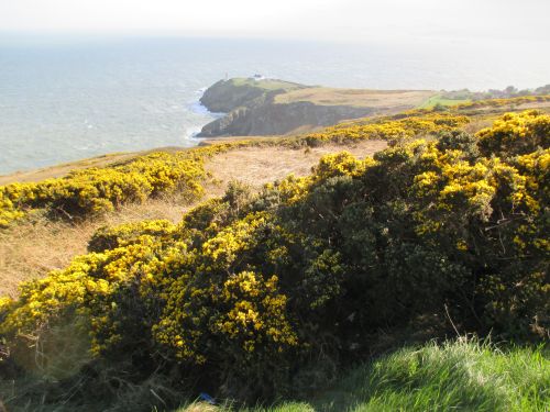 Howth village
