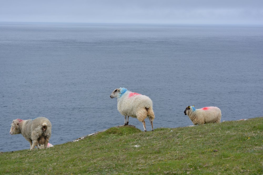 Slea Head Drive