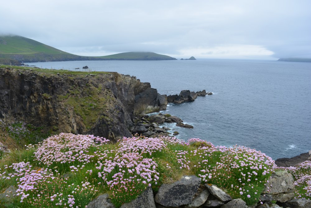 Slea Head Drive