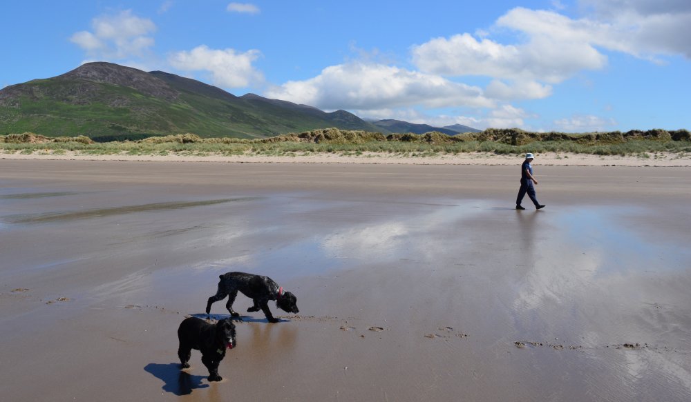 Inch Beach, Dingle Peninsula, Co. Kerry, Ireland