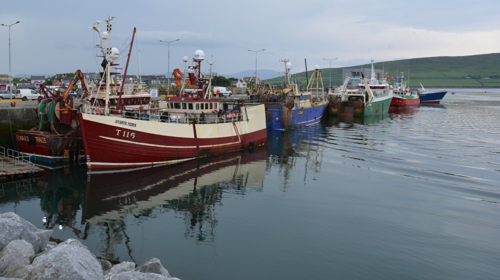  Dingle, Co. Kerry, Ireland