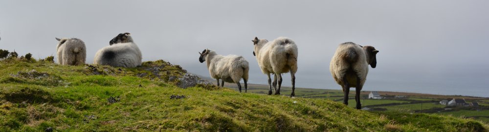 Allihies, Beara Peninsula, Co. Cork