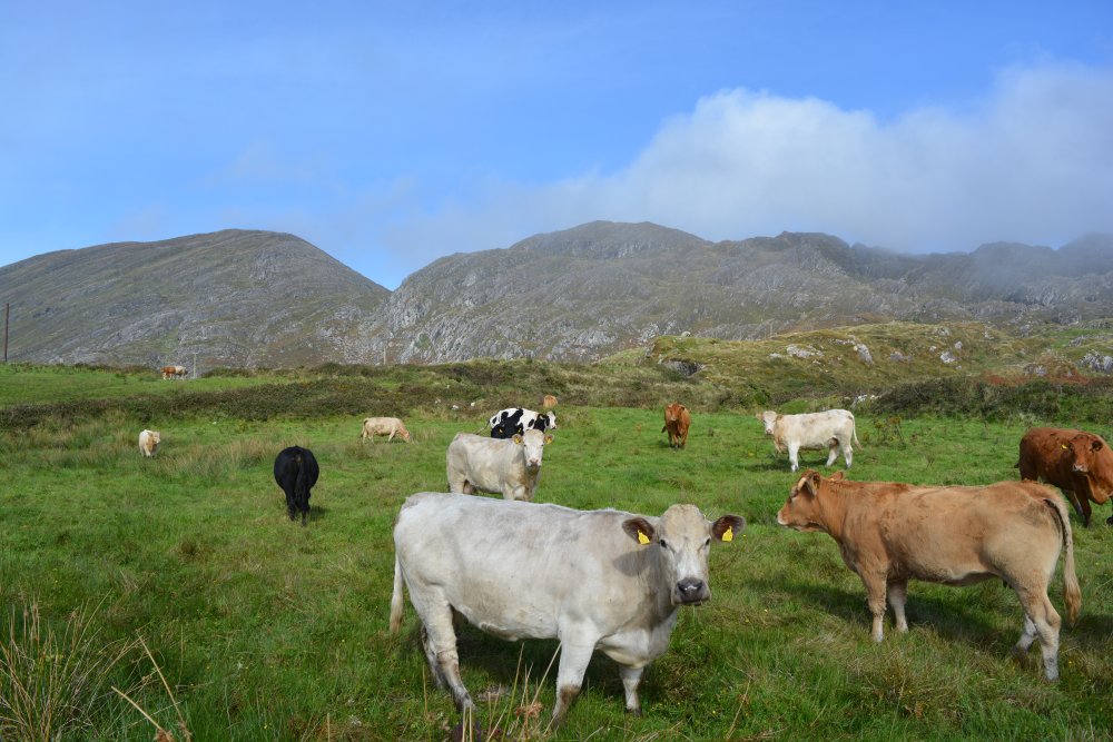 Allihies, Beara Peninsula, Co. Cork
