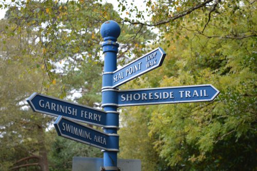There are lots of lovely woodland walks by the water shoreline of Glengarriff West Cork, Ireland