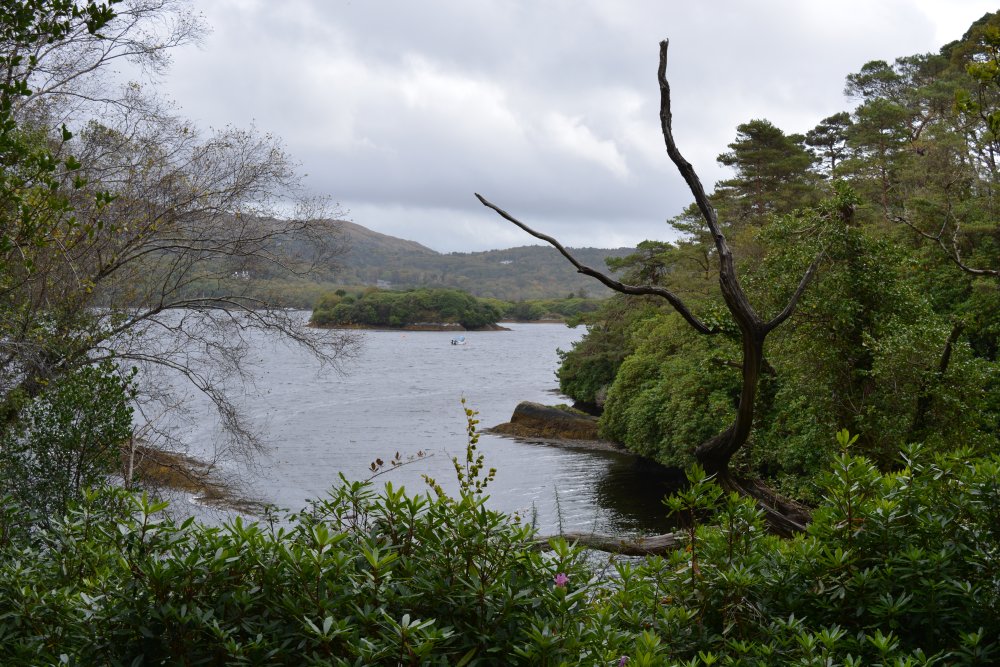 Glengarriff, West Cork, Ireland