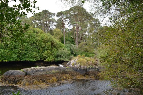 Glengarriff, West Cork, Ireland