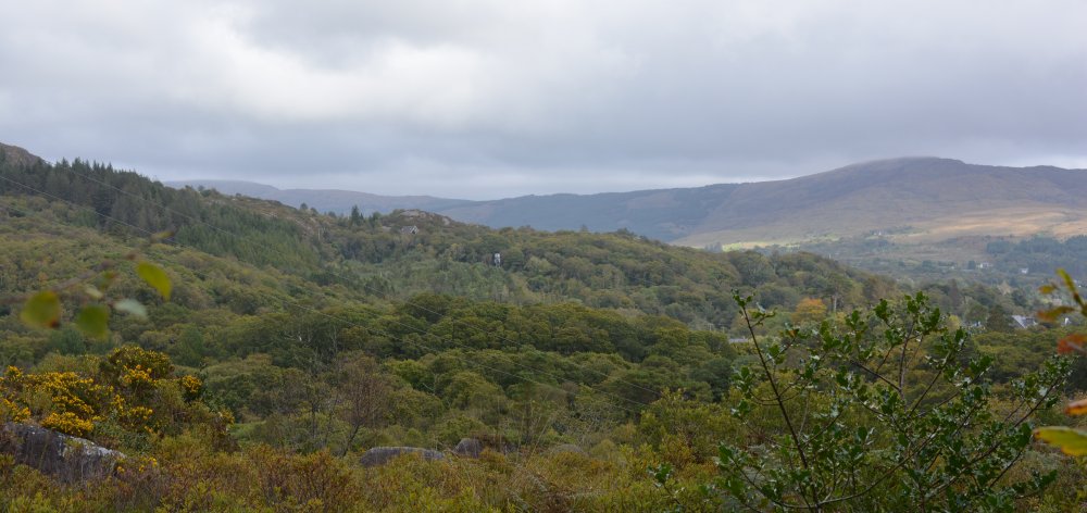 Looking down on the ancient oak woods above Glengarriff, West Cork, Ireland