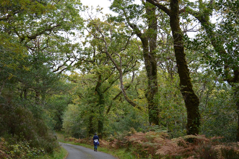 Glengarriff, West Cork, Ireland