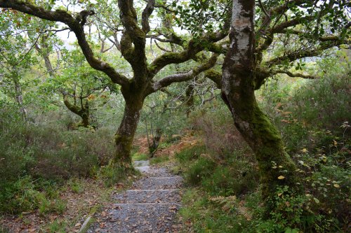 Glengarriff, West Cork, Ireland