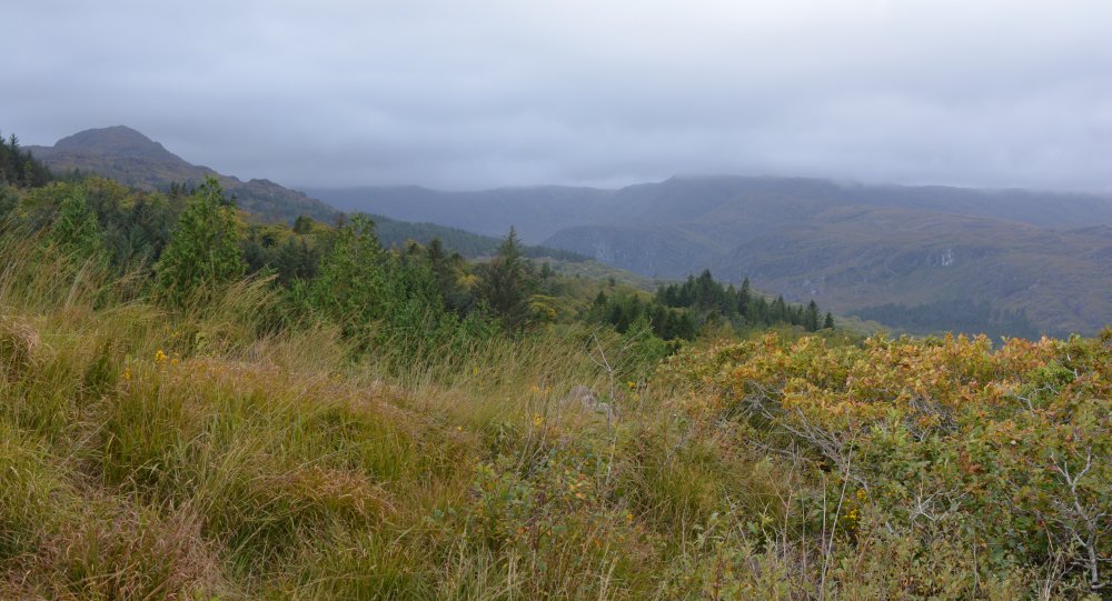 Glengarriff, West Cork, Ireland