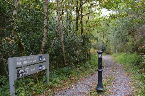 The Big Meadow woodland walk Glengarriff, West Cork, Ireland